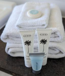 Deluxe Twin Studio in Surfers Paradise - CoastHM