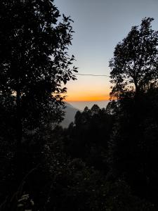 HimWanderer Camps & Cottages Pangot