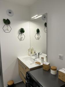 Paradis vue Lac et Montagnes