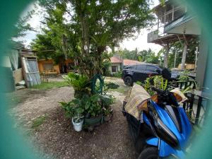 Bohol-Simple and Elegant Suite