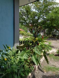 Bohol-Simple and Elegant Suite