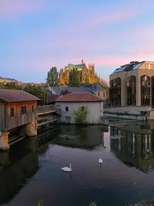 Une vue les pieds dans l'eau - Saint-Julien-lès-Metz