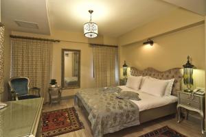 Standard Double Room room in Sokullu Pasa Hotel - Special Class