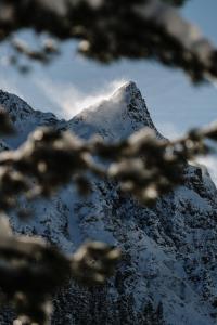 Heimspitze - Alpenhotel SKI-IN & Wirtshaus