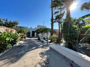 Domaine des Palmiers - Monte Grappa