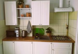 Apartament MIĘTOWY Krakowskie Przedmieście 26