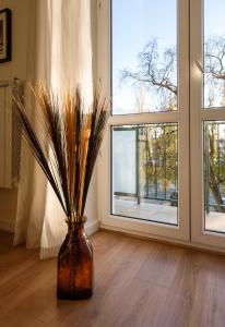 Ochota Sunny Apartment by BookingHost