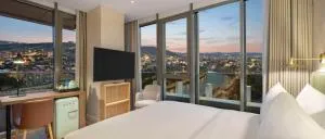 Hilton Garden Inn Tbilisi Riverview - 泰拉维