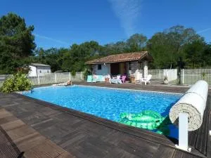 Les lavandes - Escource