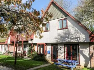 Merlins Flight - Saint Erth