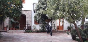 L'arancio Antico img1