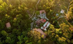 Green Tree Resort