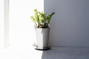 Chao Wilai Residence I Naiyang Beach I HKT Airport