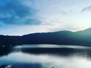 Noah - Seeleben auf Zeit am Rursee