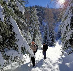 Maisons de vacances Maison complete Ganzes Haus House 6 Peronnes La Finiere Seealpen Isola Village bei Nizza Alpes -Maritimes pres de Nice 70 km : photos des chambres