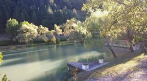 Maisons de vacances Maison complete Ganzes Haus House 6 Peronnes La Finiere Seealpen Isola Village bei Nizza Alpes -Maritimes pres de Nice 70 km : photos des chambres