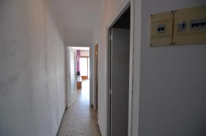 RNET - Roses II -5-3