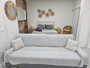 Estudio Trinidad Centro Málaga 2