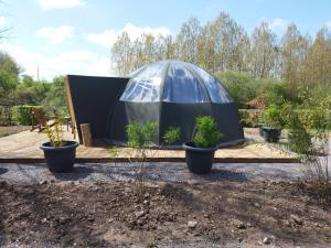 Bulle nuage - Etat Nature