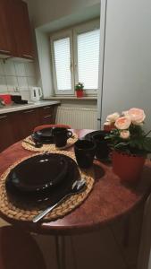 Apartament WIŚNIOWY Krakowskie Przedmieście 26
