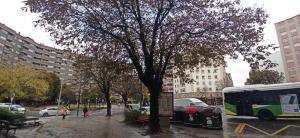 Piso Eugenio Fadrique Vigo