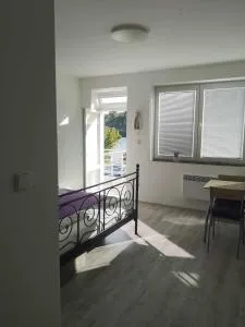 Apartmán U vody - Dobříš