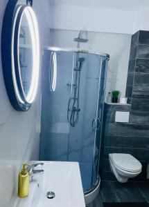 Q Elite Apartment - Palas Center