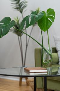 Modern + Airy Fishtown Townhouse w Arcade