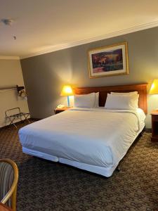King Room - Disability Access room in Hotel XOLA Trademark Collection by Wyndham
