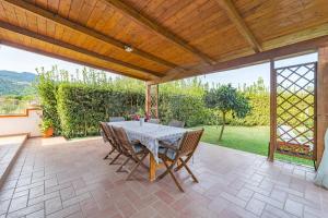 Albero del Pepe 2 - Goelba