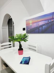 Apartment 05 Tirana Center