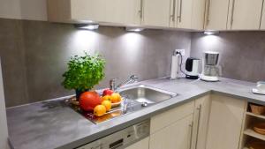 City Studio Kormoran