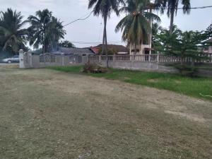 Ammar Homestay Tok Bali