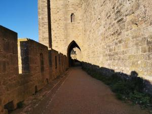 Maisons de vacances Le Petit Chai niche sous la Cite, : photos des chambres