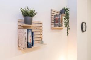 Cozy and Bright apartment