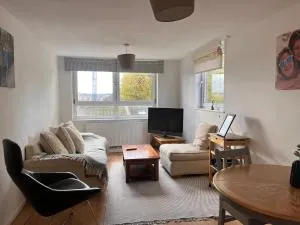 Cosy flat in the Heart of Wandsworth - London