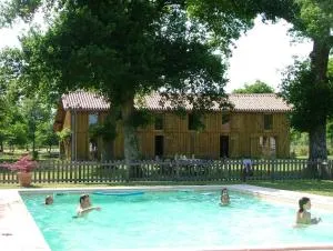 Vieux chene - Cachen