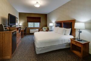 Deluxe King Room room in Stoney Creek Hotel Sioux City