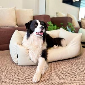 116 w ROYAL TULIP SAND 5 gwiazdkowym prywatny 200 m od plaży DOBRUK APARTAMENTY