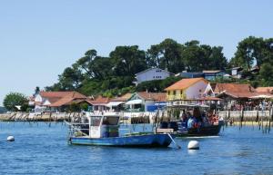 Maisons de vacances Chalet Cosy : photos des chambres