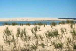 Maisons de vacances Chalet Cosy : photos des chambres