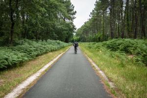 Maisons de vacances Chalet Cosy : photos des chambres