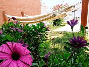 Amplia Casa de Campo con Piscina en Cieneguilla