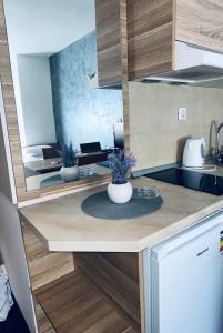 Apartman Masa Kopaonik