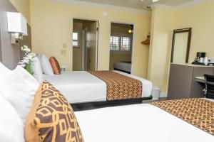 Family Room room in Silver Surf Motel