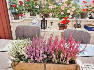 4 star holiday home in ENSKEDE-By Traum