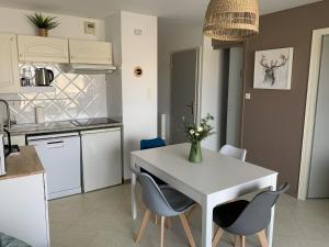 Appartement F2 proche plage avec parking et animaux admis - FR-1-482-125