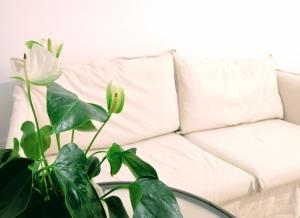 Feel Blue Sky - Politehnica