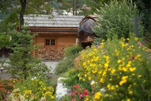 Chalets CHALET LUXE DE LA CROIX DU FRENE : photos des chambres