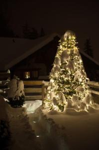 Chalets CHALET LUXE DE LA CROIX DU FRENE : photos des chambres